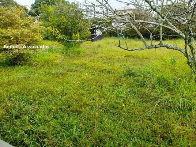 #287 - Área para Venda em Cotia - SP - 3