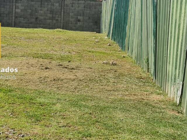 Venda em Jardim Semiramis - Cotia