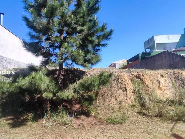 Área para Venda em Cotia - 5