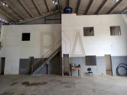Galpão para Locação em Cotia - 4